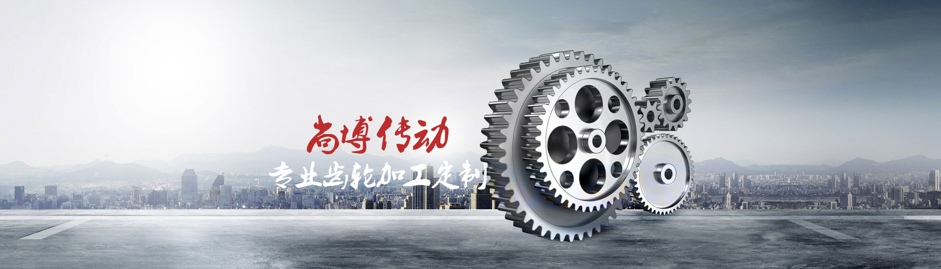 尚博傳動(dòng) 專(zhuān)業(yè)齒輪定制